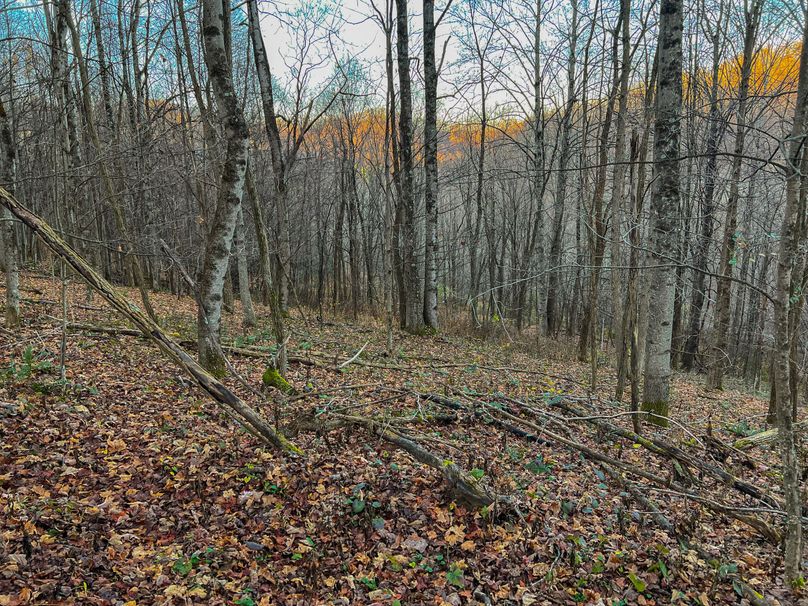 Webster, WV 27 AC Cowger-29