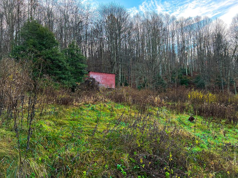 Webster, WV 27 AC Cowger-09