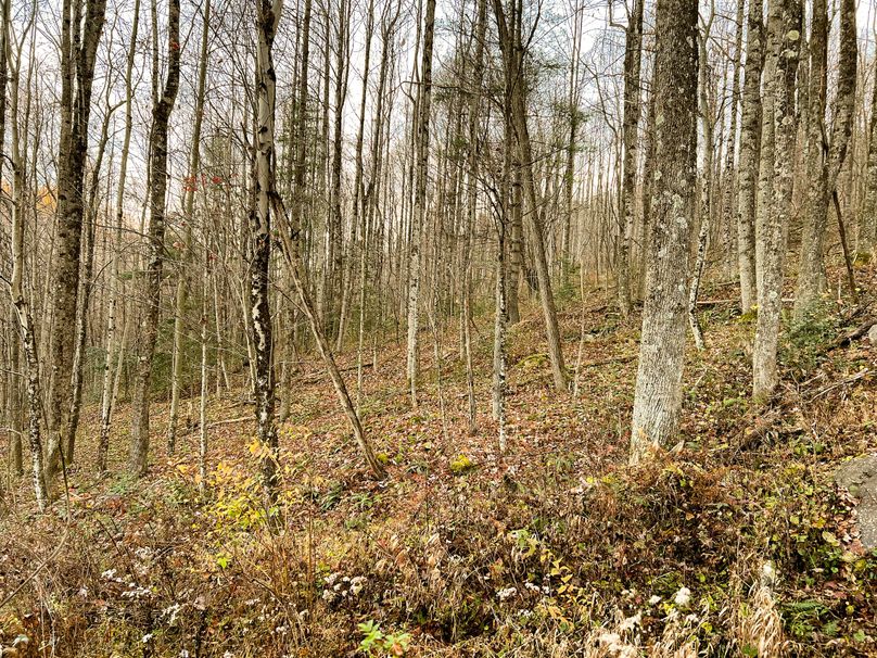 Webster, WV 27 AC Cowger-19