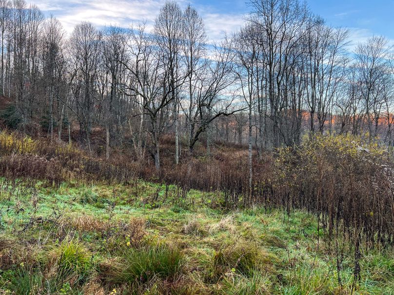 Webster, WV 27 AC Cowger-07