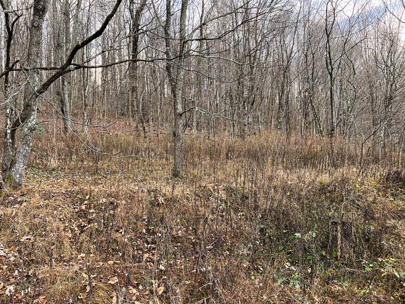 Webster, WV 27 AC Cowger-02