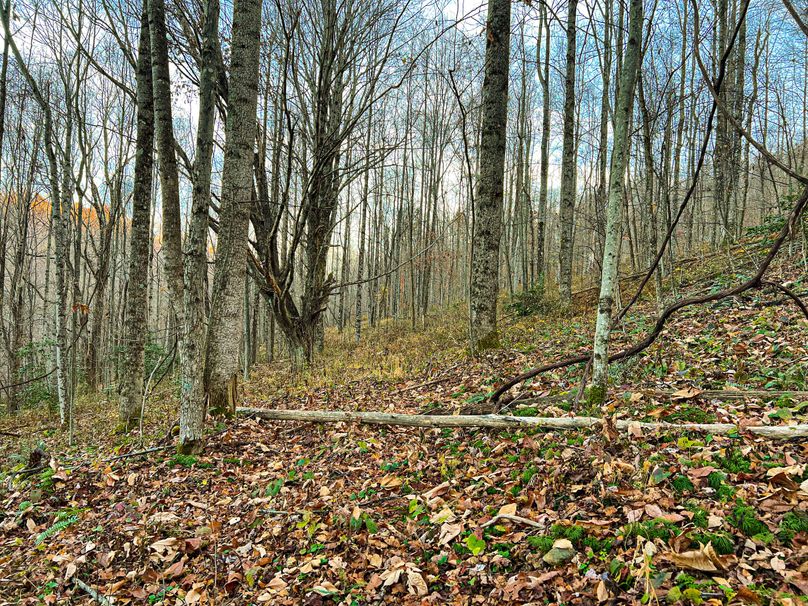 Webster, WV 27 AC Cowger-21