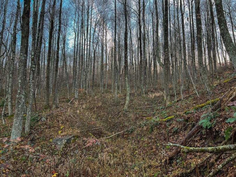 Webster, WV 27 AC Cowger-18