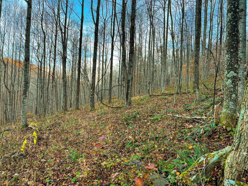 Webster, WV 27 AC Cowger-24