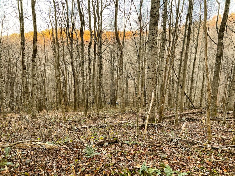 Webster, WV 27 AC Cowger-27