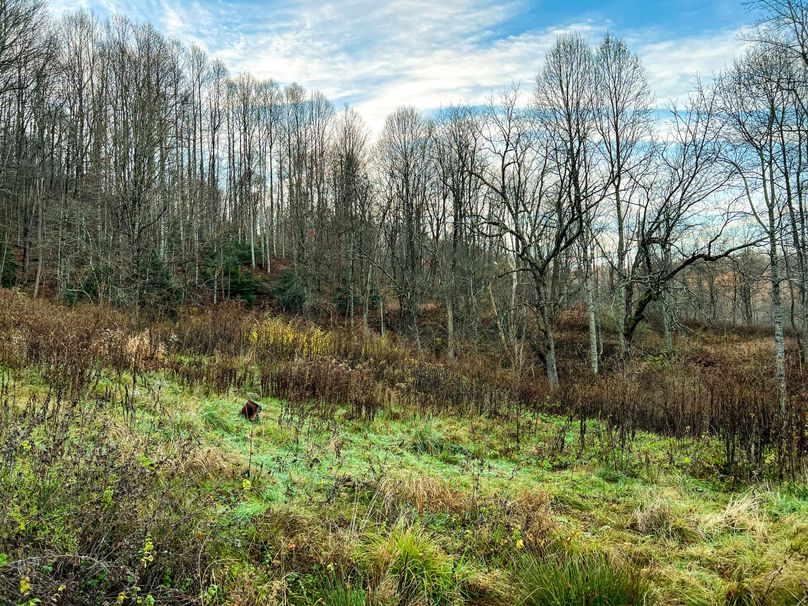 Webster, WV 27 AC Cowger-08