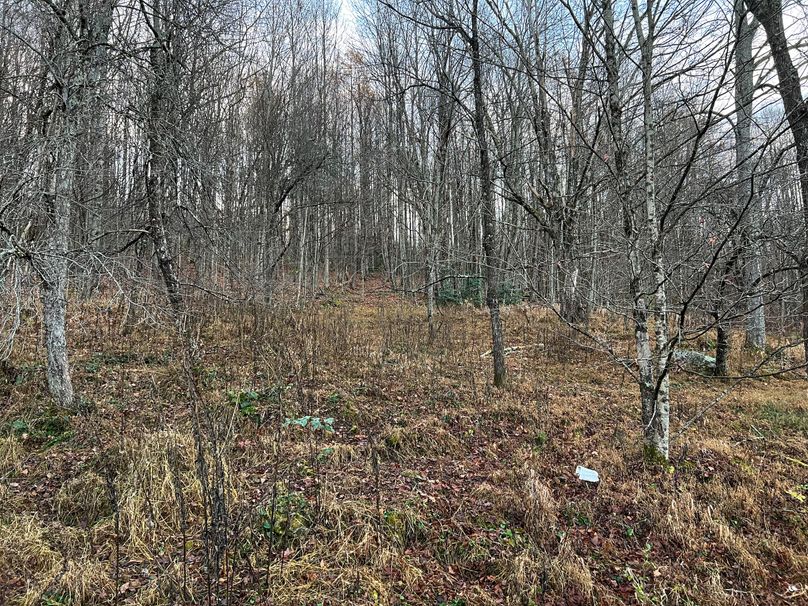 Webster, WV 27 AC Cowger-06