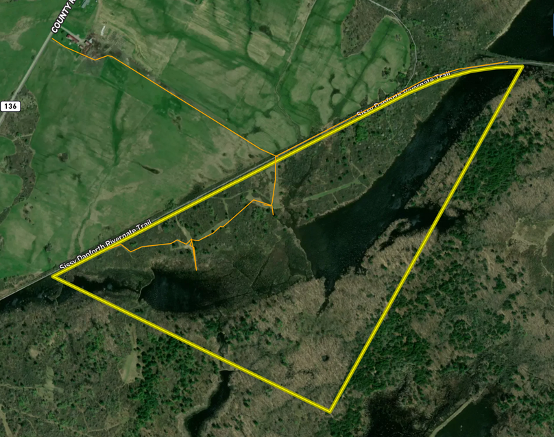 Screen Shot 2022-11-07 at 4.49.36 PM