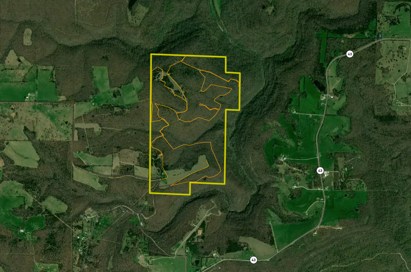 Screen Shot 2022-11-18 at 12.10.39 PM