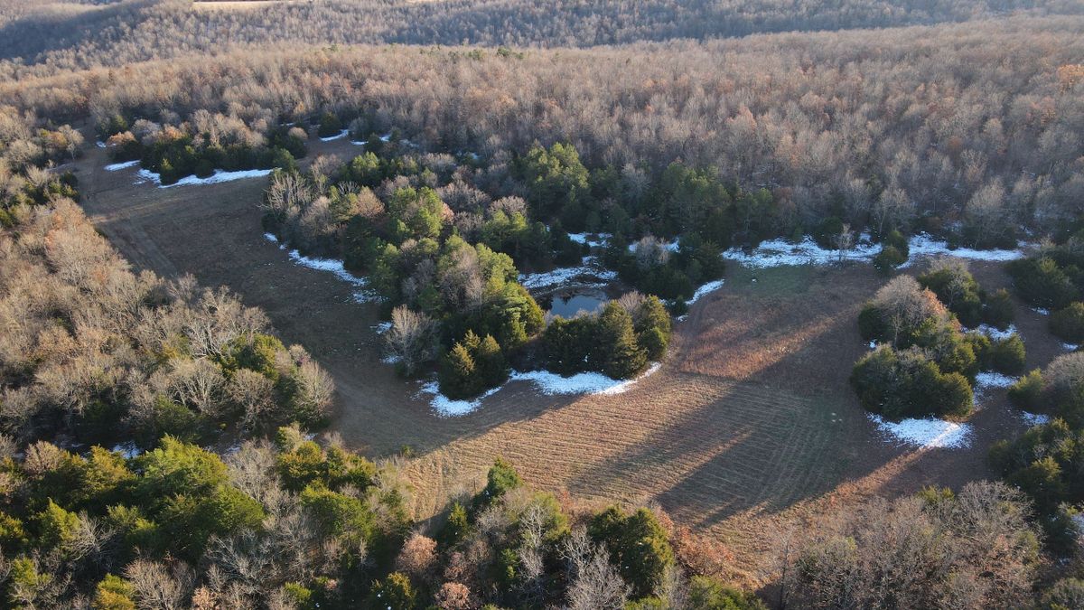 Pristine Hunting Tract Near Buffalo National River Whitetail Properties