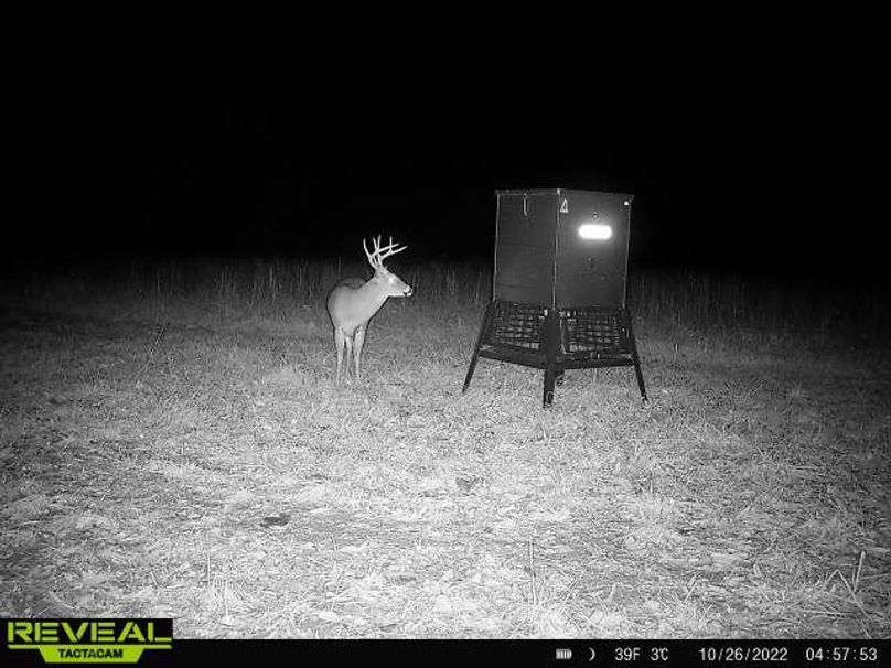 677d863c-e5be-49f8-8cd0-e13766a9f8ed