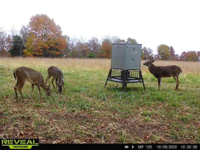 3d4a768c-3db4-4265-a4c6-64093b5ae168