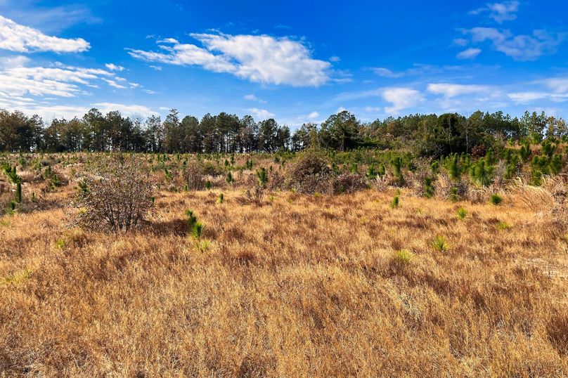 Side of Property 001