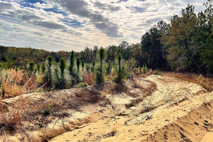 Path into Property 001