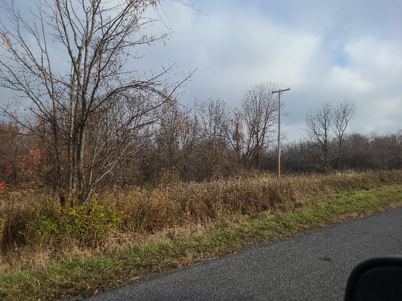 photo_613000000