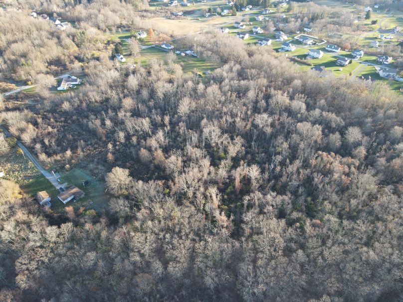 dji_fly_20221109_080102_164_1667998877887_photo