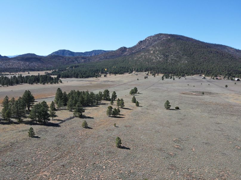 dji_fly_20221020_141048_516_1666296678221_photo