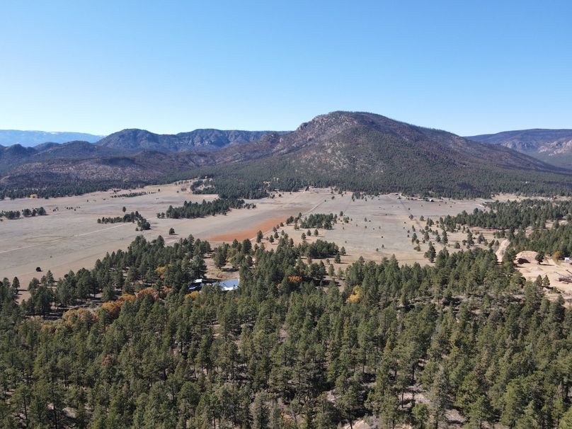 dji_fly_20221020_140830_511_1666296530018_photo