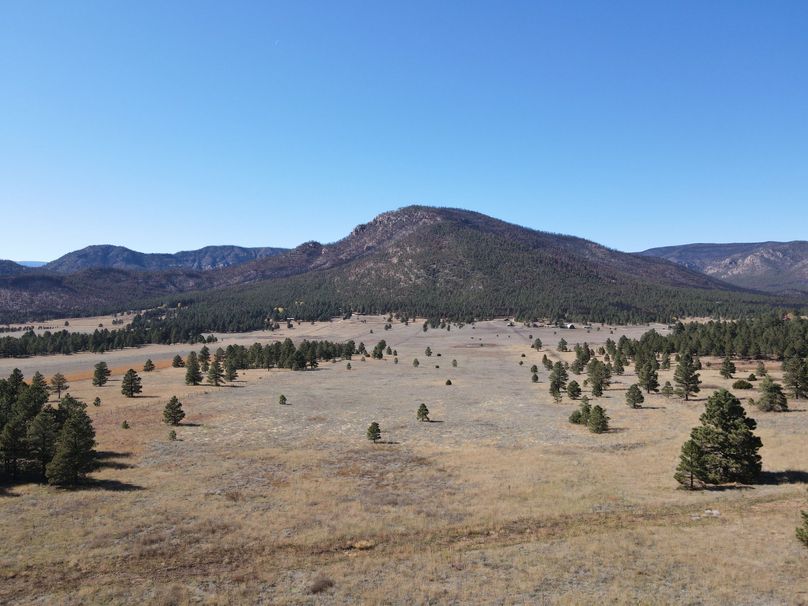 dji_fly_20221020_141404_536_1666296910795_photo