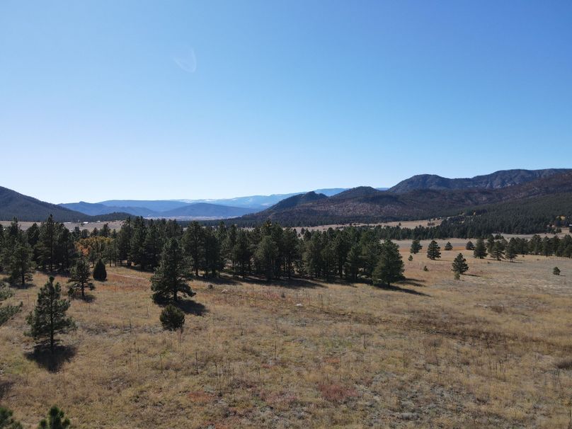 dji_fly_20221020_141342_532_1666296894775_photo