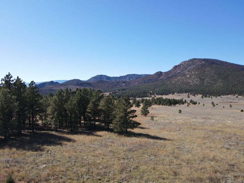 dji_fly_20221020_141310_528_1666296877492_photo