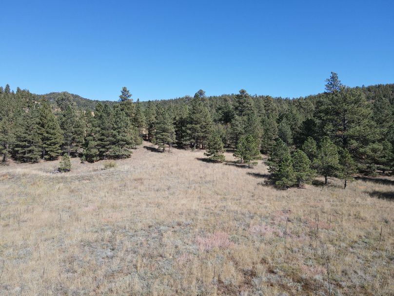 dji_fly_20221020_141320_530_1666296886937_photo