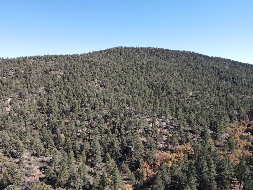 dji_fly_20221020_140702_510_1666296454473_photo