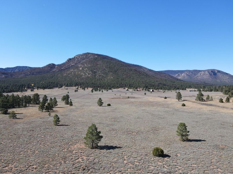 dji_fly_20221020_141134_521_1666296750772_photo