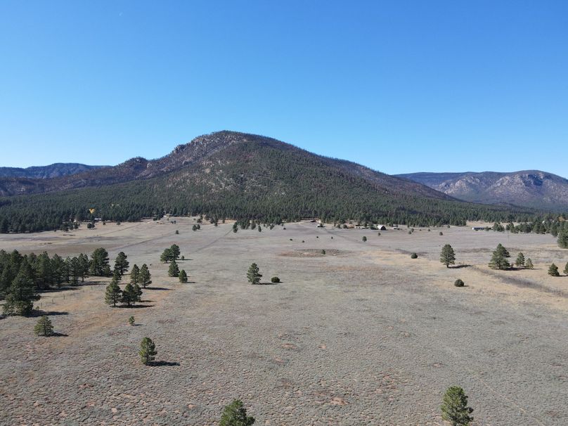 dji_fly_20221020_141144_522_1666296754929_photo