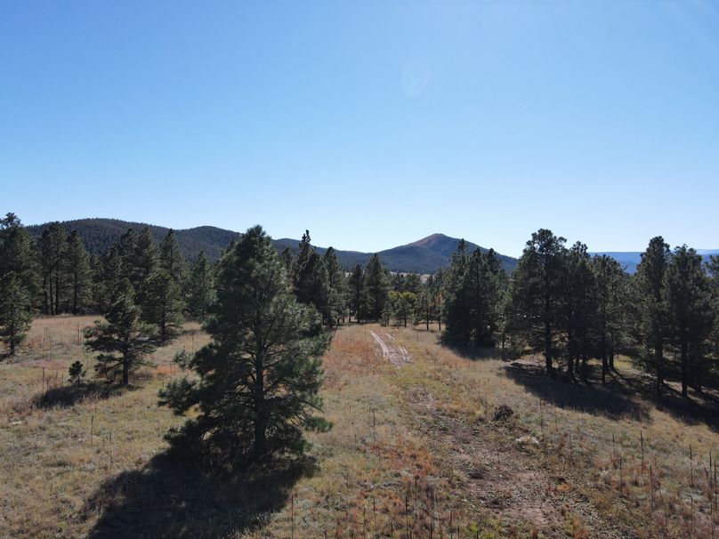 dji_fly_20221020_141304_526_1666296869598_photo