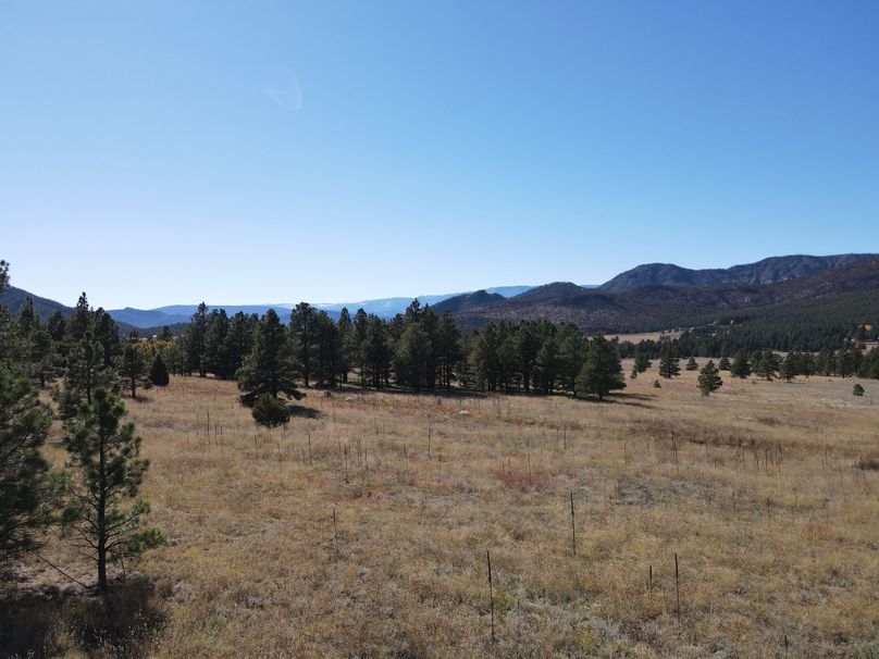 dji_fly_20221020_141338_531_1666296890930_photo