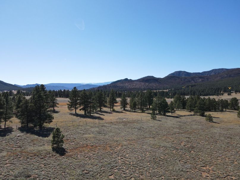 dji_fly_20221020_141130_520_1666296746480_photo