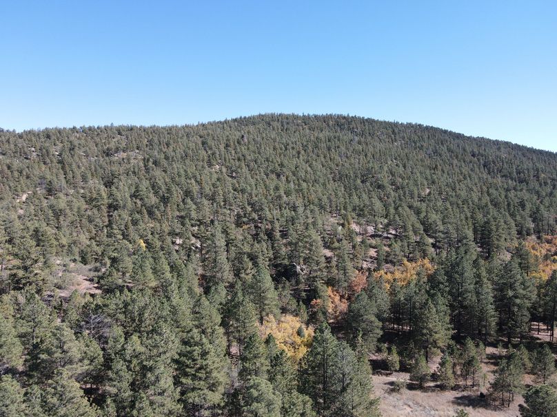 dji_fly_20221020_140652_509_1666296445719_photo