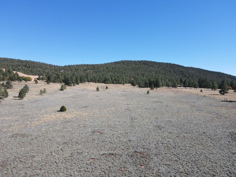 dji_fly_20221020_141126_519_1666296732993_photo