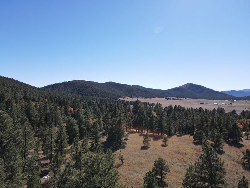 dji_fly_20221020_141358_534_1666296902789_photo