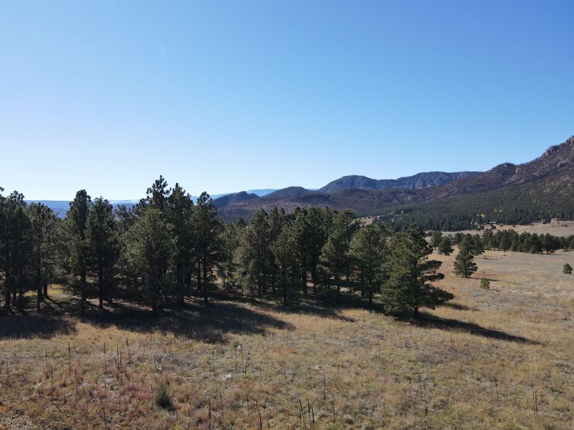 dji_fly_20221020_141308_527_1666296873528_photo