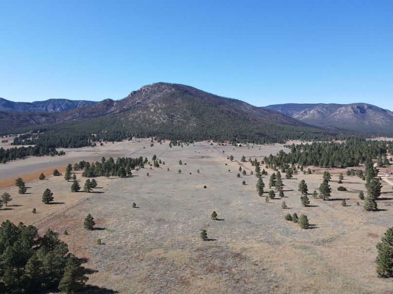 dji_fly_20221020_140648_508_1666296440690_photo