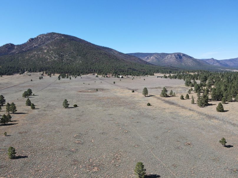 dji_fly_20221020_141052_517_1666296682645_photo