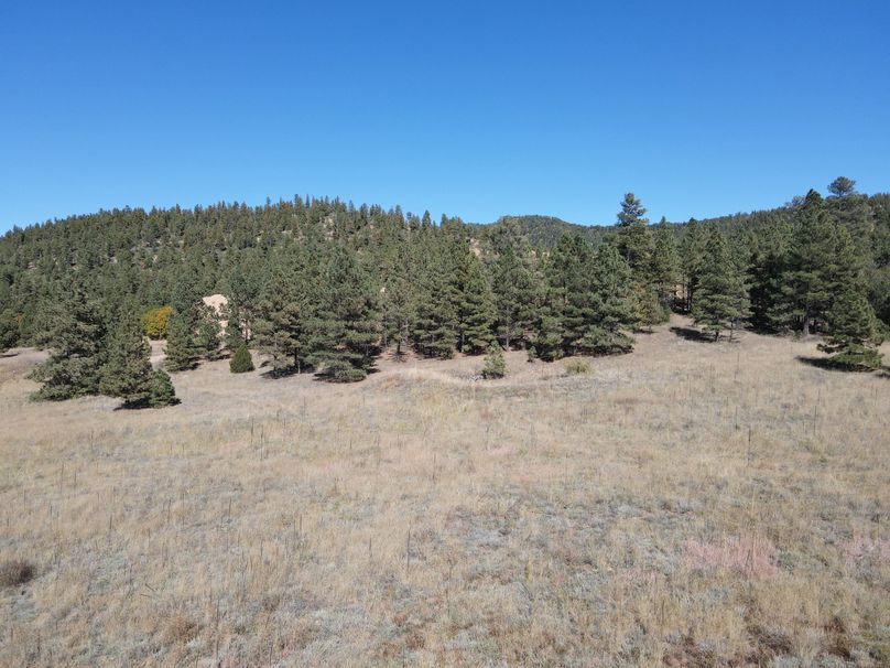 dji_fly_20221020_141314_529_1666296882142_photo