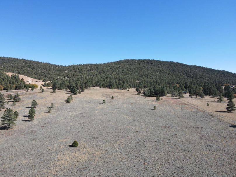 dji_fly_20221020_141058_518_1666296686797_photo