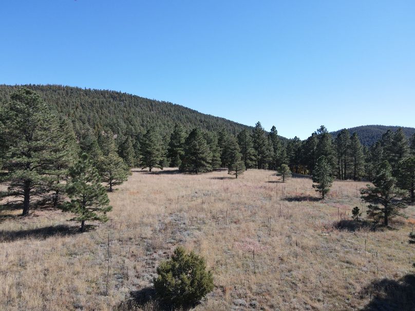 dji_fly_20221020_141302_525_1666296865807_photo