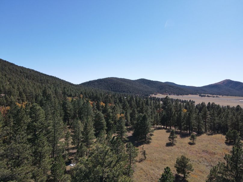 dji_fly_20221020_141352_533_1666296898875_photo