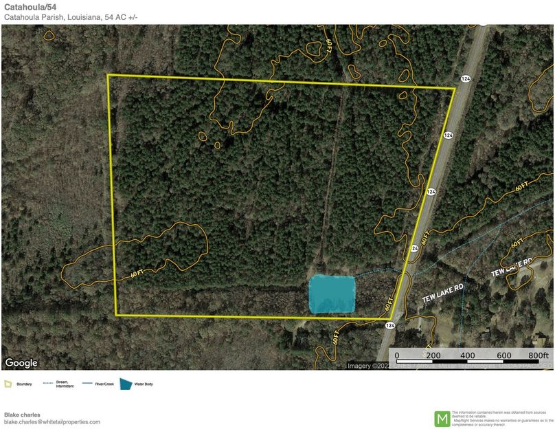 Catahoula_54_Contour copy