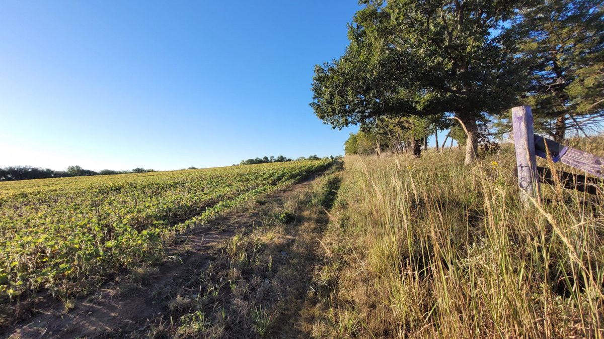 Multi-Species Hunting Land With Cabin Near Tuttle Creek Lake ...