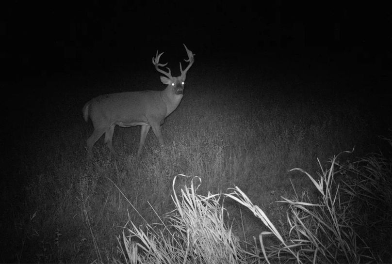 Screenshot_20220926-115512