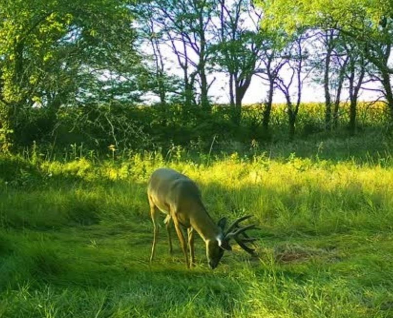 Screenshot_20220926-120007