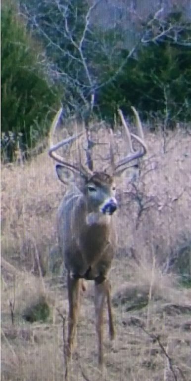 Screenshot_20220926-120327