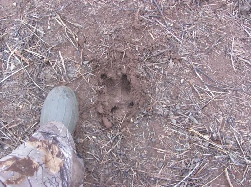 Screenshot_20220926-115016