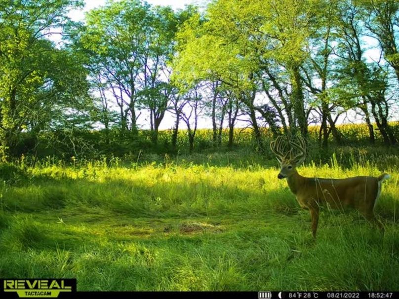 Screenshot_20220926-120128