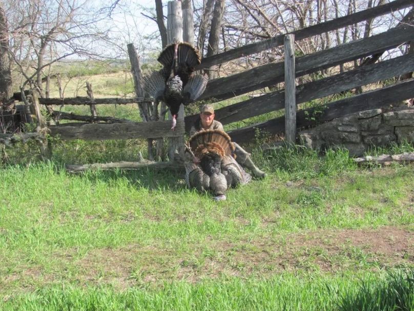 Screenshot_20220926-115245